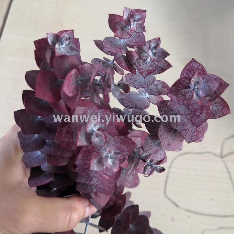 Imported everlasting flowers, Eucalyptus preserved flowers, various everlasting flower accessories, exclusively for flower shops Item Picture