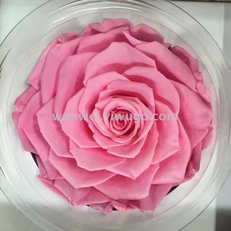 Wanwei Everlasting Preserved Flower Giant never-fading Rose Little Prince Glass Cover Special Specification image