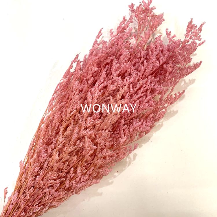 Eternal preservation fresh flowers, no mold, no falling off, love grass earrings, flower arrangement and grass matching Item Picture