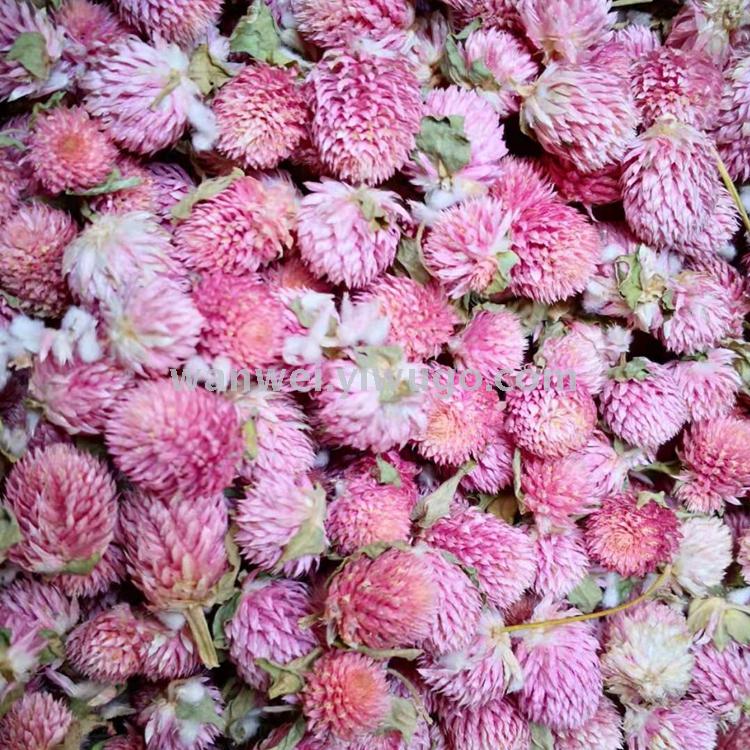 Eternal dried flowers, strawberry fruits, thousand-day red and thousand-day purple jewelry accessories, floral art supplies Application Scenario