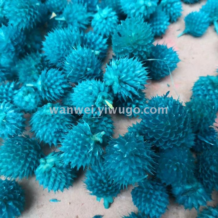 Eternal dried flowers, strawberry fruits, thousand-day red and thousand-day purple jewelry accessories, floral art supplies Specification image