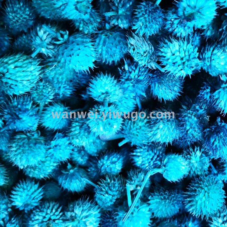 Eternal dried flowers, strawberry fruits, thousand-day red and thousand-day purple jewelry accessories, floral art supplies