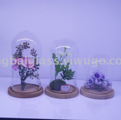 Glass Microlandscape Cover, Eternal Flower Cover, Glass Cake Pan, Glass Cover