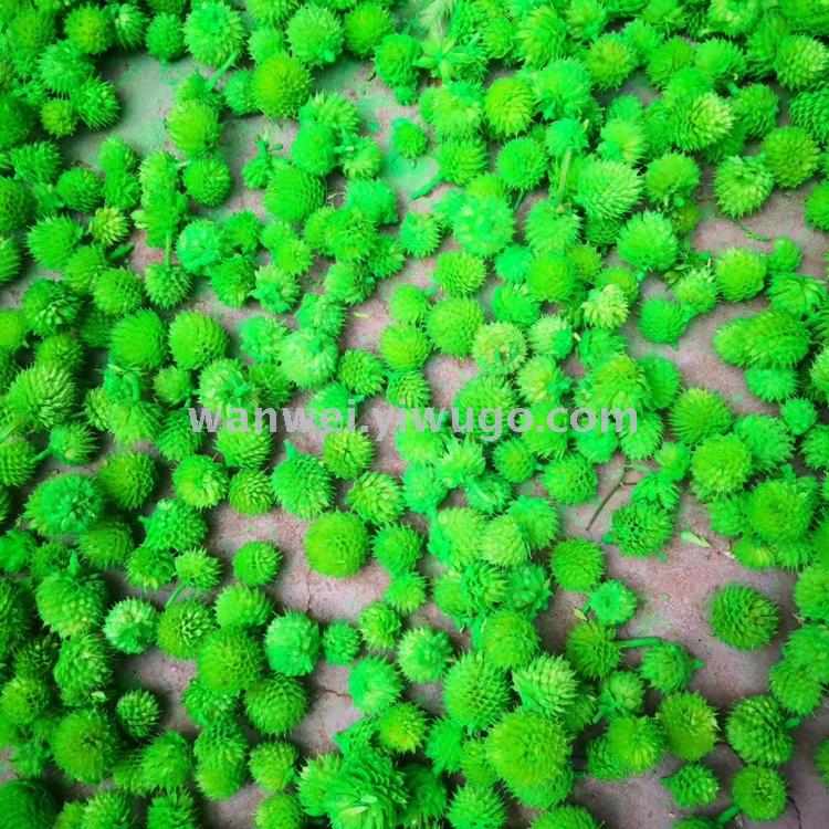 Eternal dried flowers, strawberry fruits, thousand-day red and thousand-day purple jewelry accessories, floral art supplies details Picture