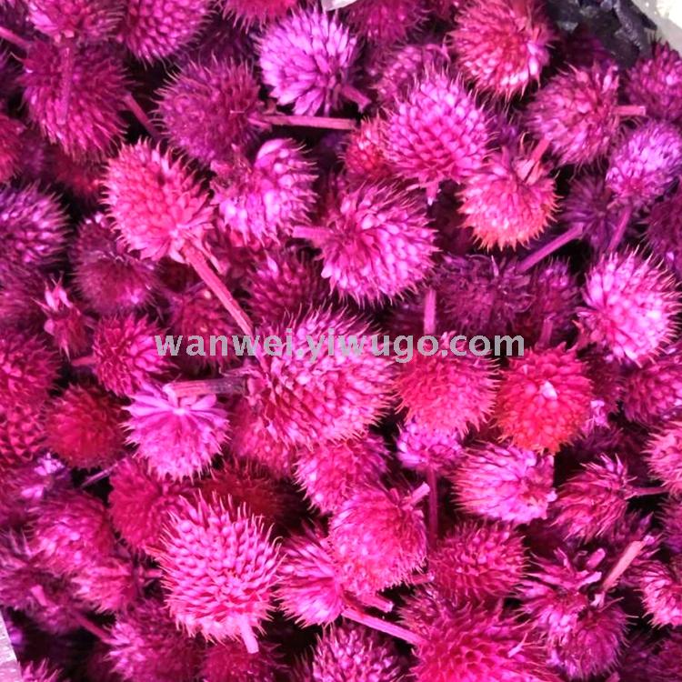 Eternal dried flowers, strawberry fruits, thousand-day red and thousand-day purple jewelry accessories, floral art supplies Item Picture