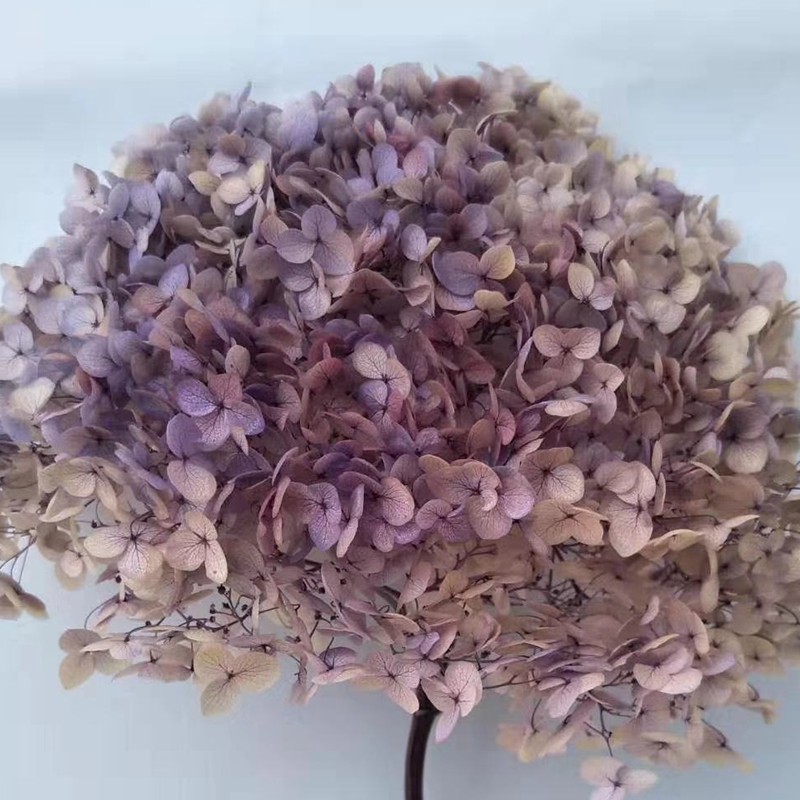 台商馆(花类·饰品·工艺品)细节图