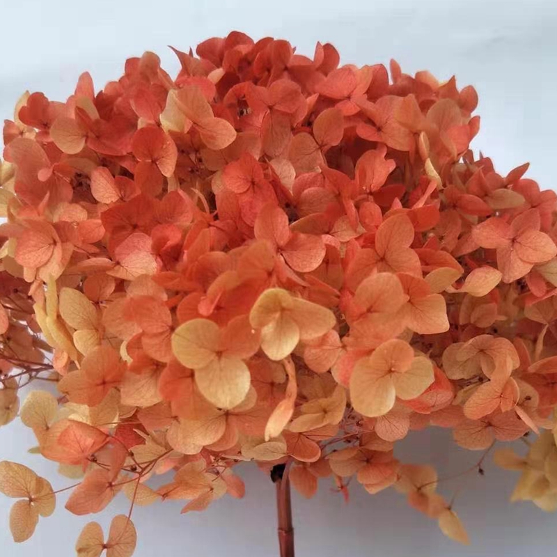 台商馆(花类·饰品·工艺品)白底实物图