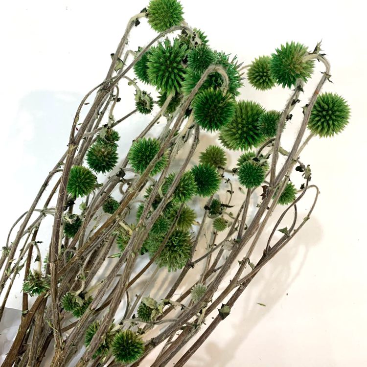 Blue Planet preserved fresh flowers, ecological flowers that never wither, and preserved flower accessories Item Picture
