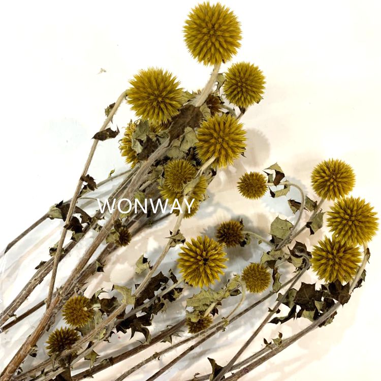 Blue Planet preserved fresh flowers, ecological flowers that never wither, and preserved flower accessories details Picture