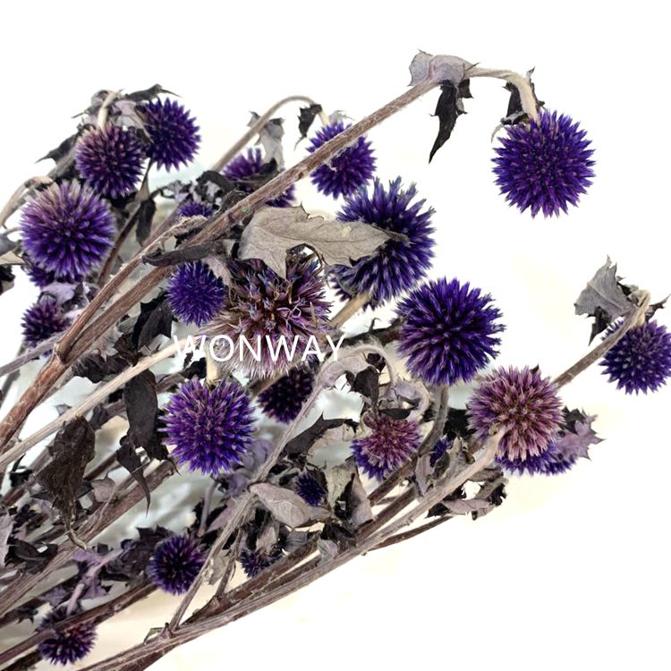 Blue Planet preserved fresh flowers, ecological flowers that never wither, and preserved flower accessories Application Scenario