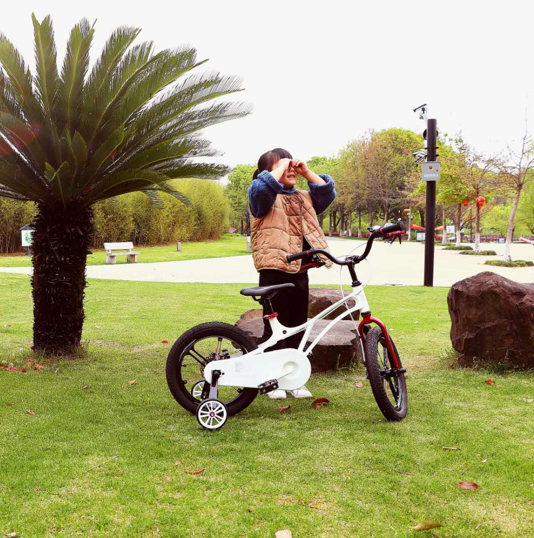 Direct sales, wholesale and retail of Creeper 14-inch and 16-inch tricycles with auxiliary wheels for children Specification image