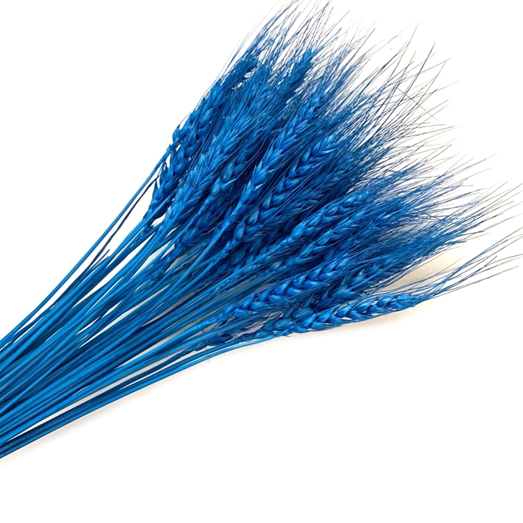 Eternal dried flower natural plant wheat details Picture