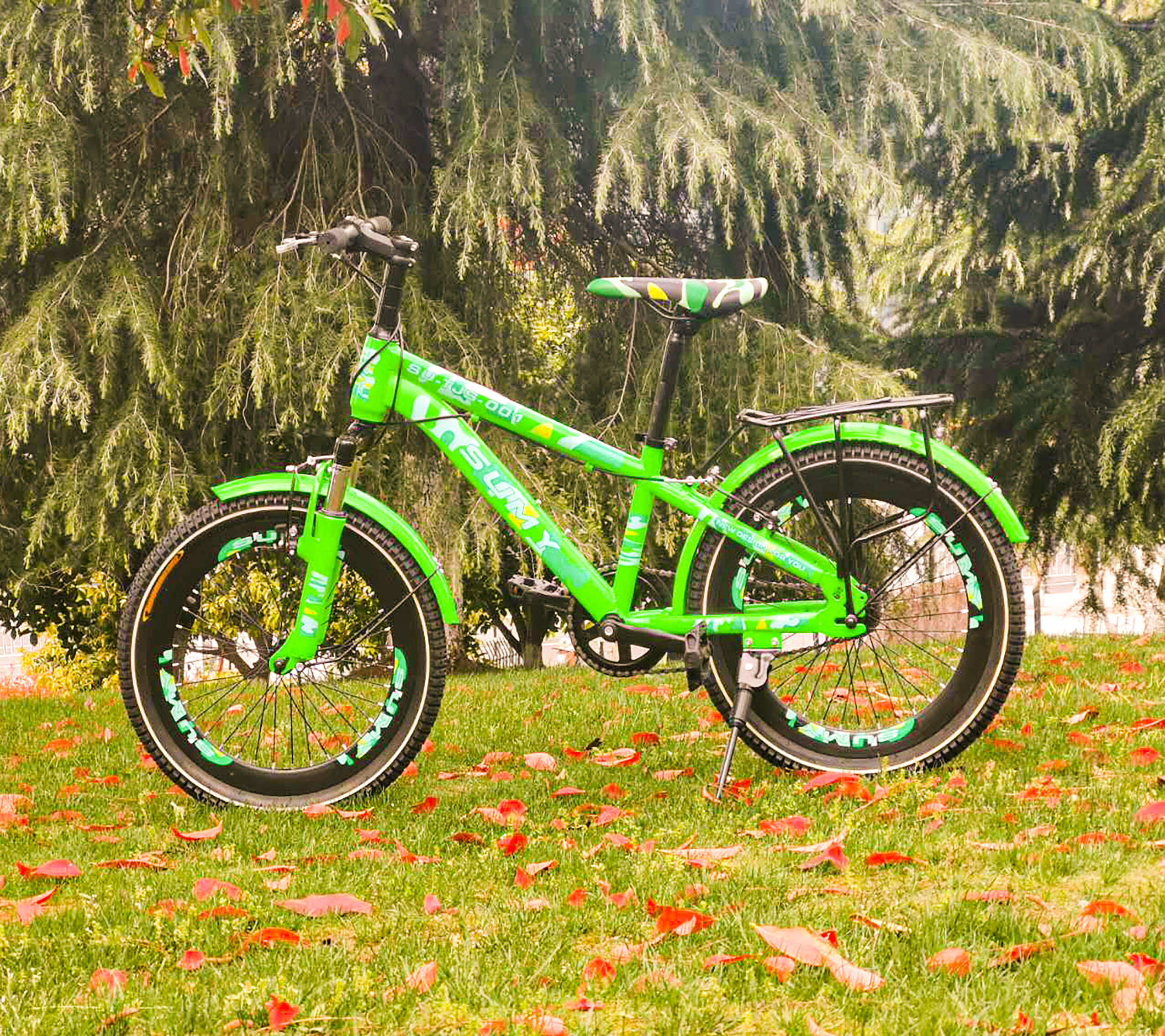 儿童自行车实物图