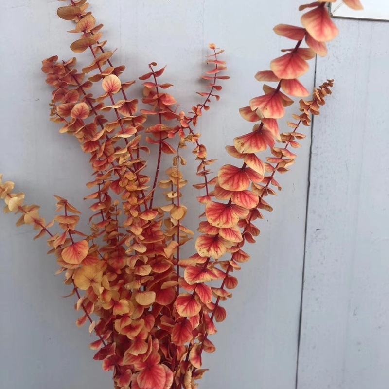 台商馆(花类·饰品·工艺品)细节图