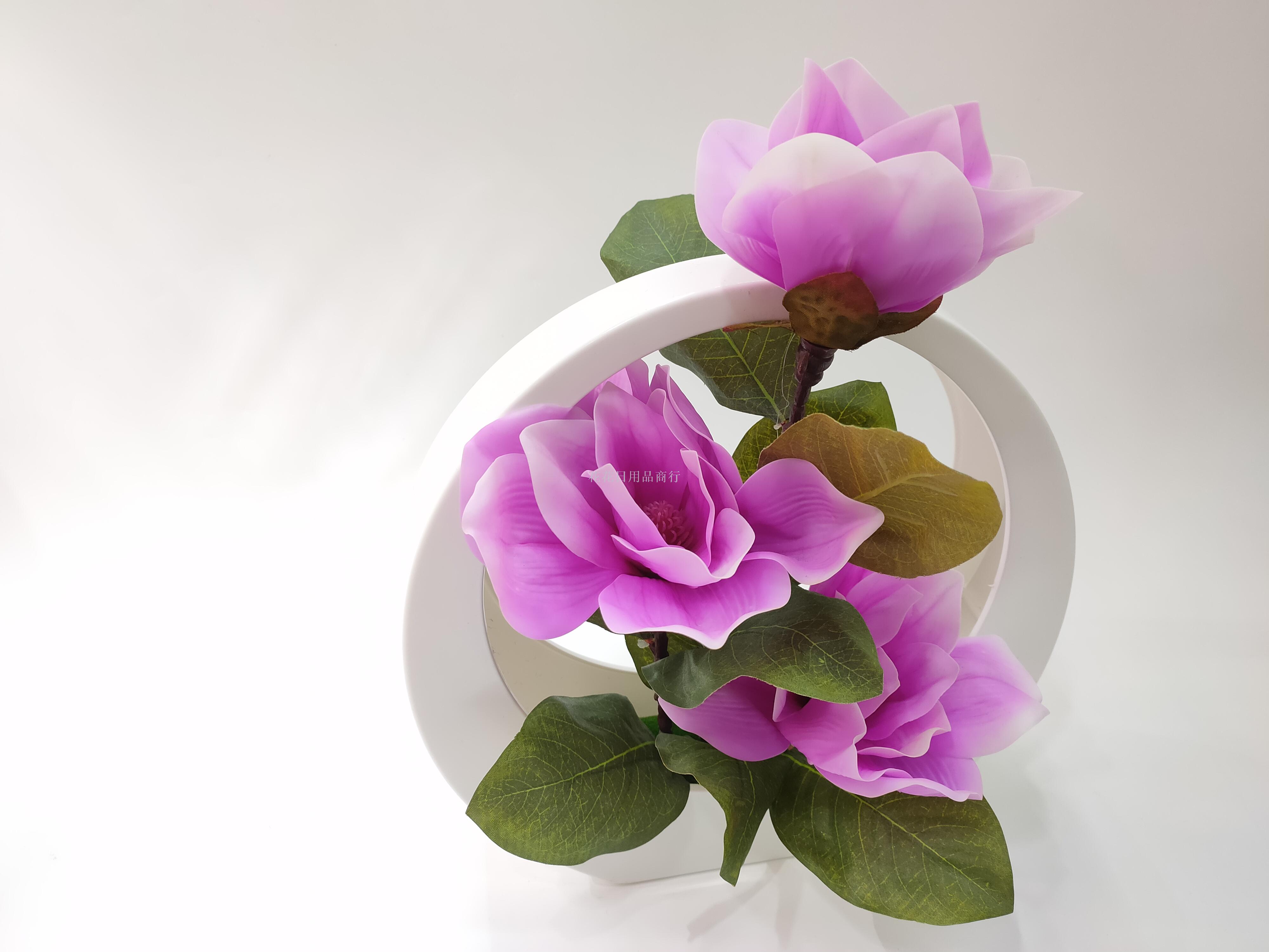 Nordic flowers, plants, indoor flowers, fake flowers, living room decorations, simulated flower bouquets, ceramic potted table sets