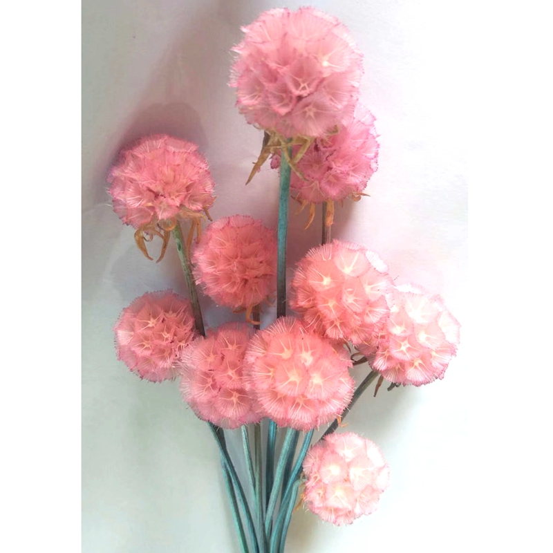 Pure natural plant dried flowers, pine fruit, windmill fruit, soft furnishings, handicrafts, photo frames, flower arrangements details Picture