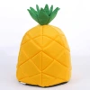 Cute pineapple-shaped dog pet bed mat, comfortable Samoyed husky dog bed mat, dog house Application Scenario