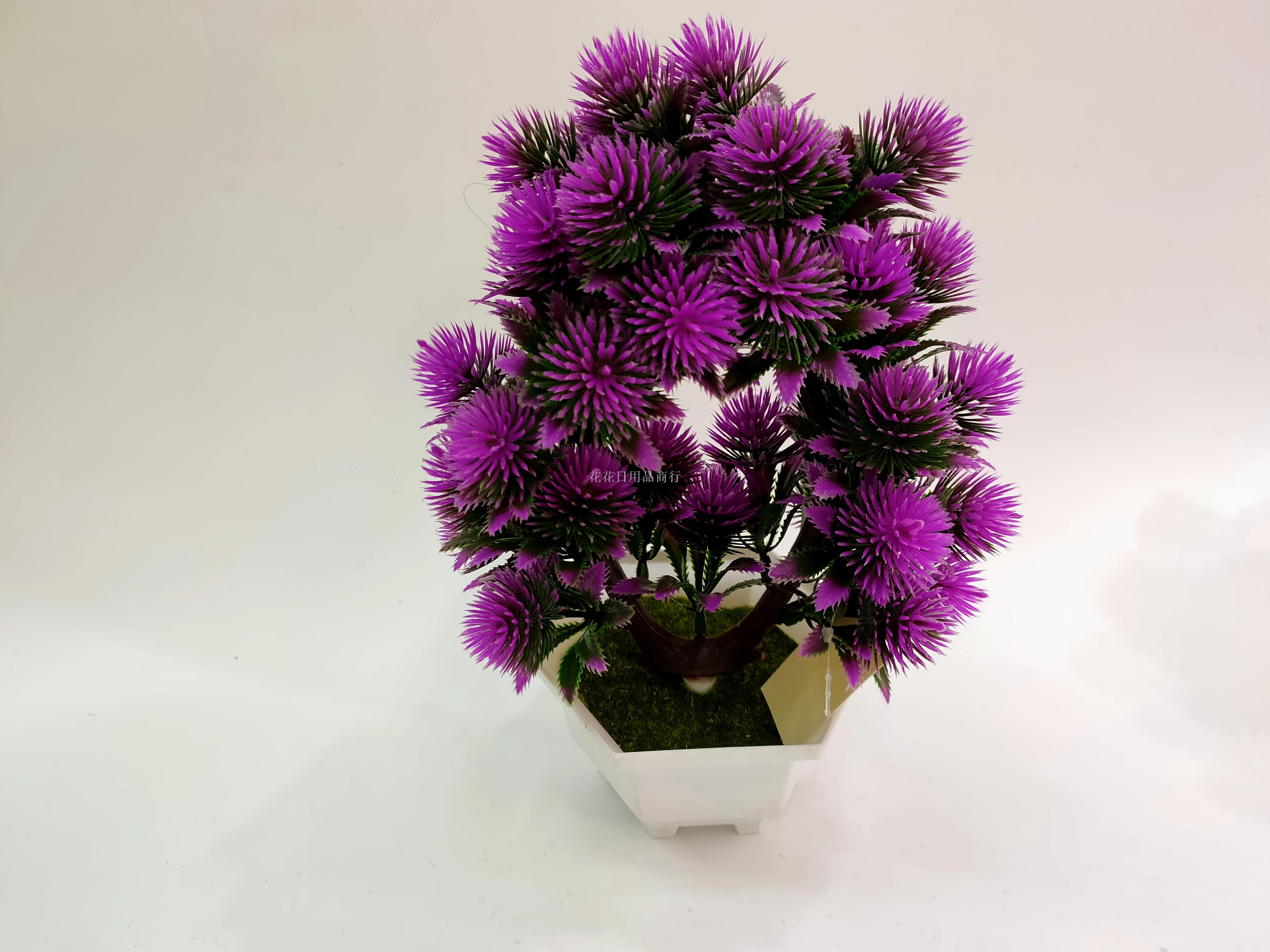 其他分类实物图