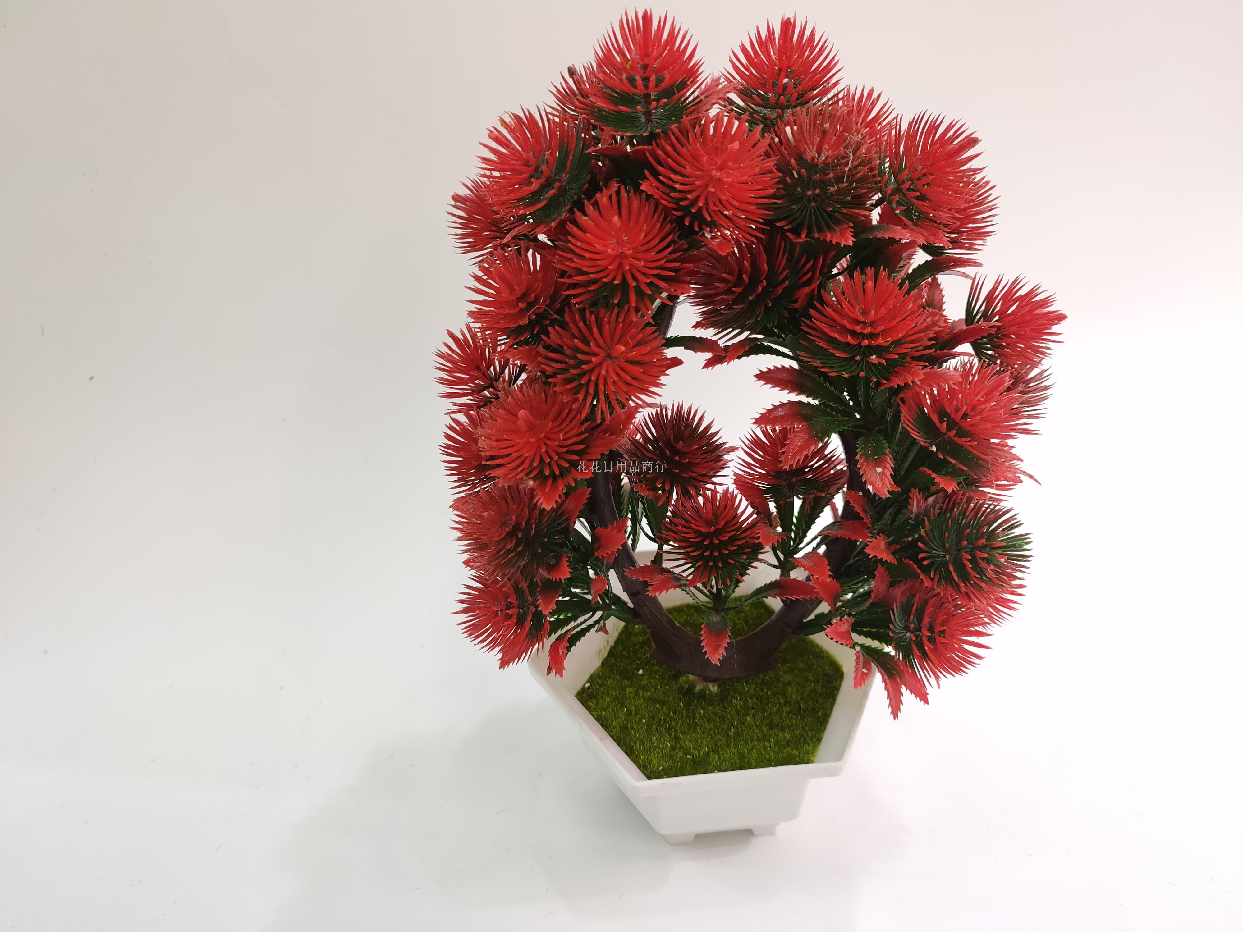 日用百货白底实物图