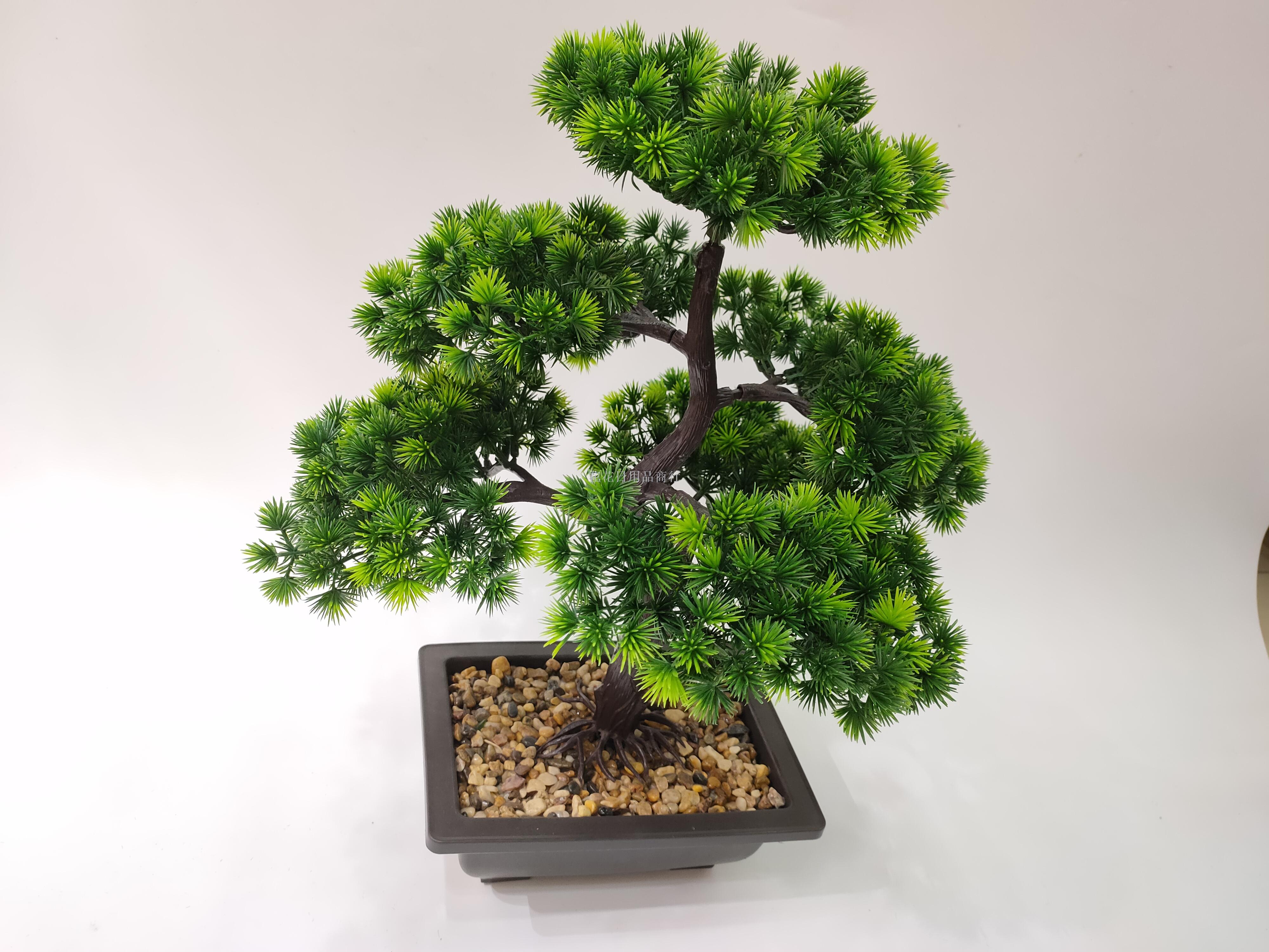 New large black basin welcome pine simulation flowers bonsai flowers living room decoration flowers