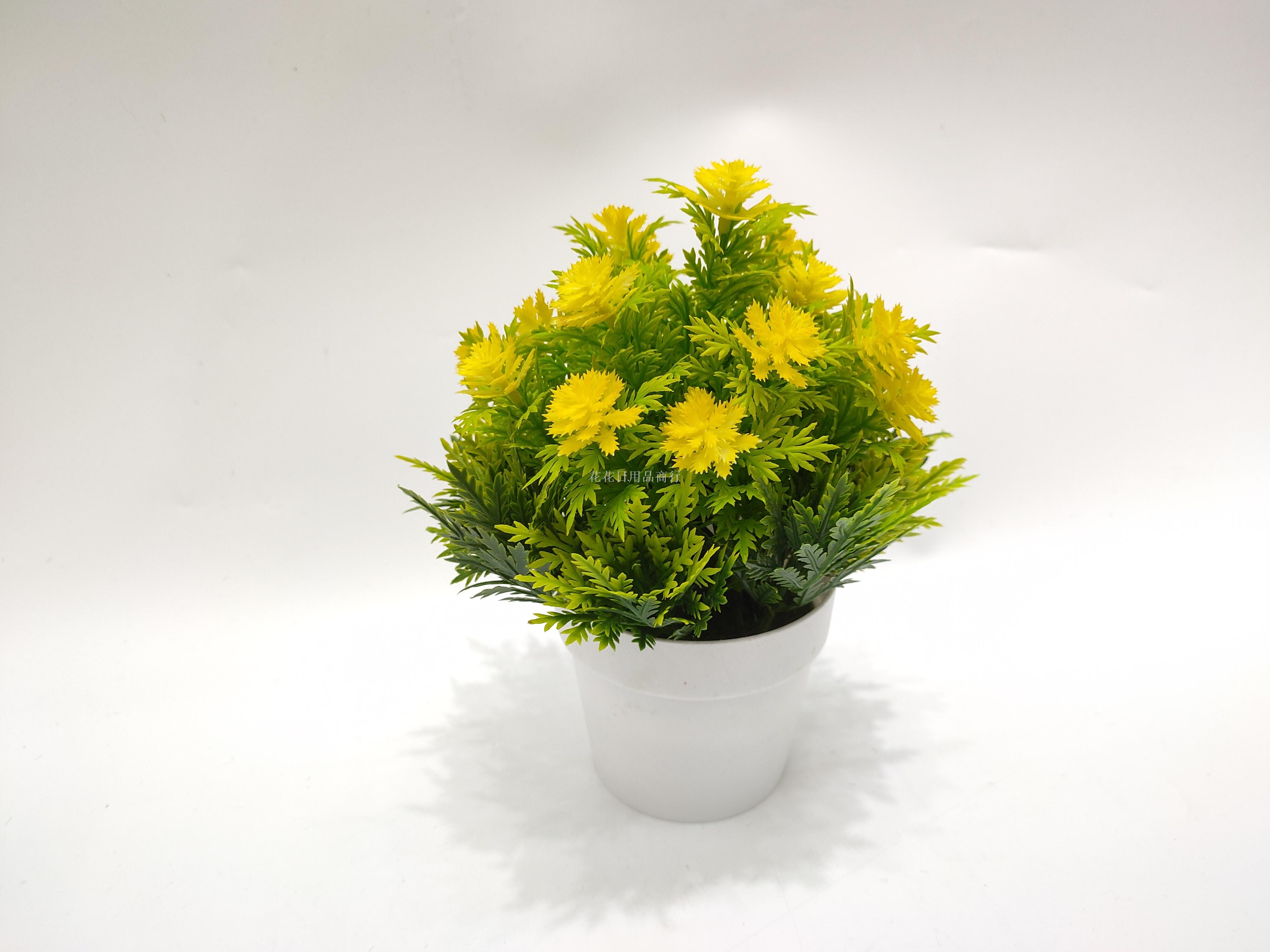 日用百货白底实物图