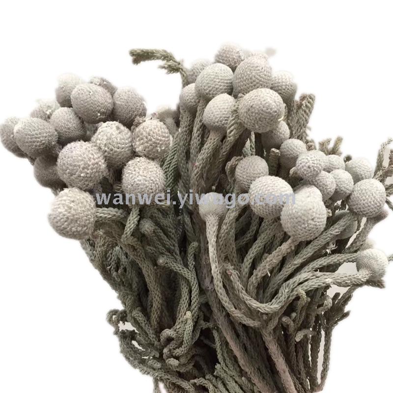 Pure natural plant dried flowers, large silver fruit, coral bean handicrafts, flower arrangement and matching details Picture