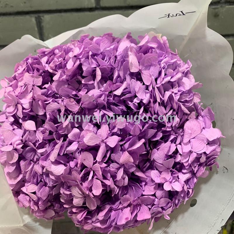 Pure natural plant everlasting preservation large-leaf hydrangea branch flower arrangement handicrafts soft assembly flowers Specification image