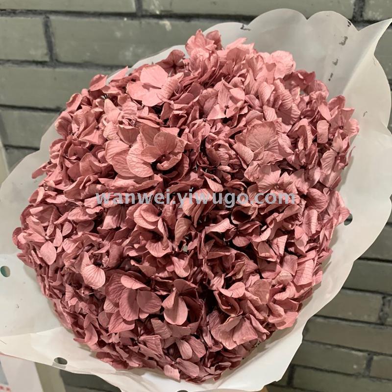 Pure natural plant everlasting preservation large-leaf hydrangea branch flower arrangement handicrafts soft assembly flowers details Picture