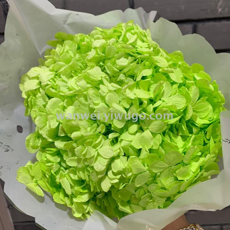 Pure natural plant everlasting preservation large-leaf hydrangea branch flower arrangement handicrafts soft assembly flowers