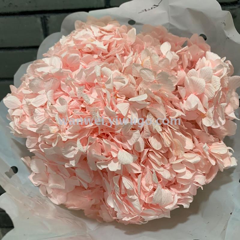 Pure natural plant everlasting preservation large-leaf hydrangea branch flower arrangement handicrafts soft assembly flowers Application Scenario
