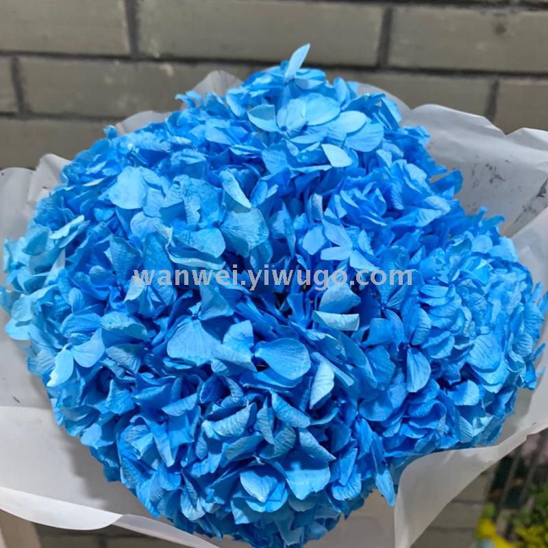 Pure natural plant everlasting preservation large-leaf hydrangea branch flower arrangement handicrafts soft assembly flowers Item Picture