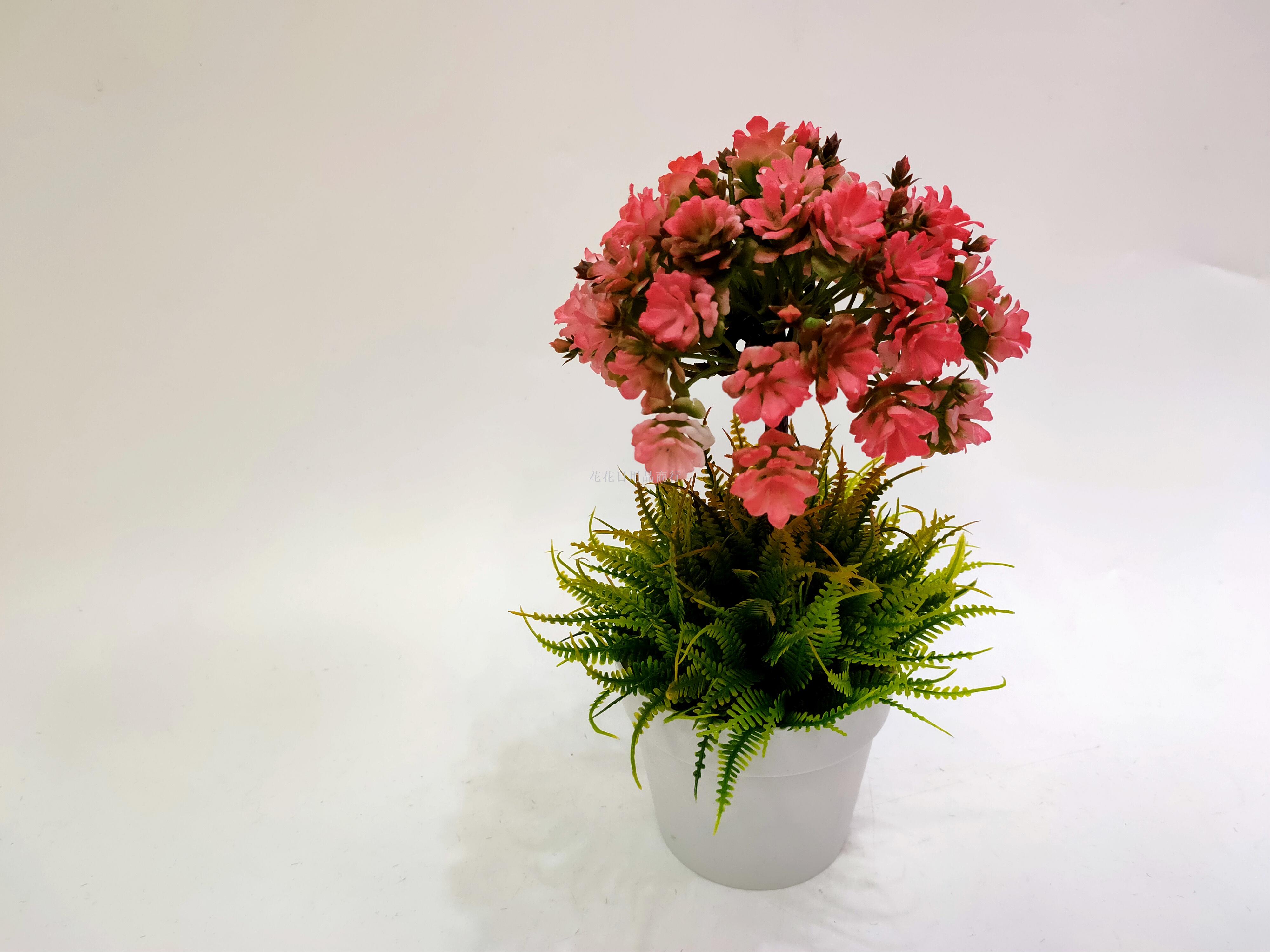 日用百货白底实物图