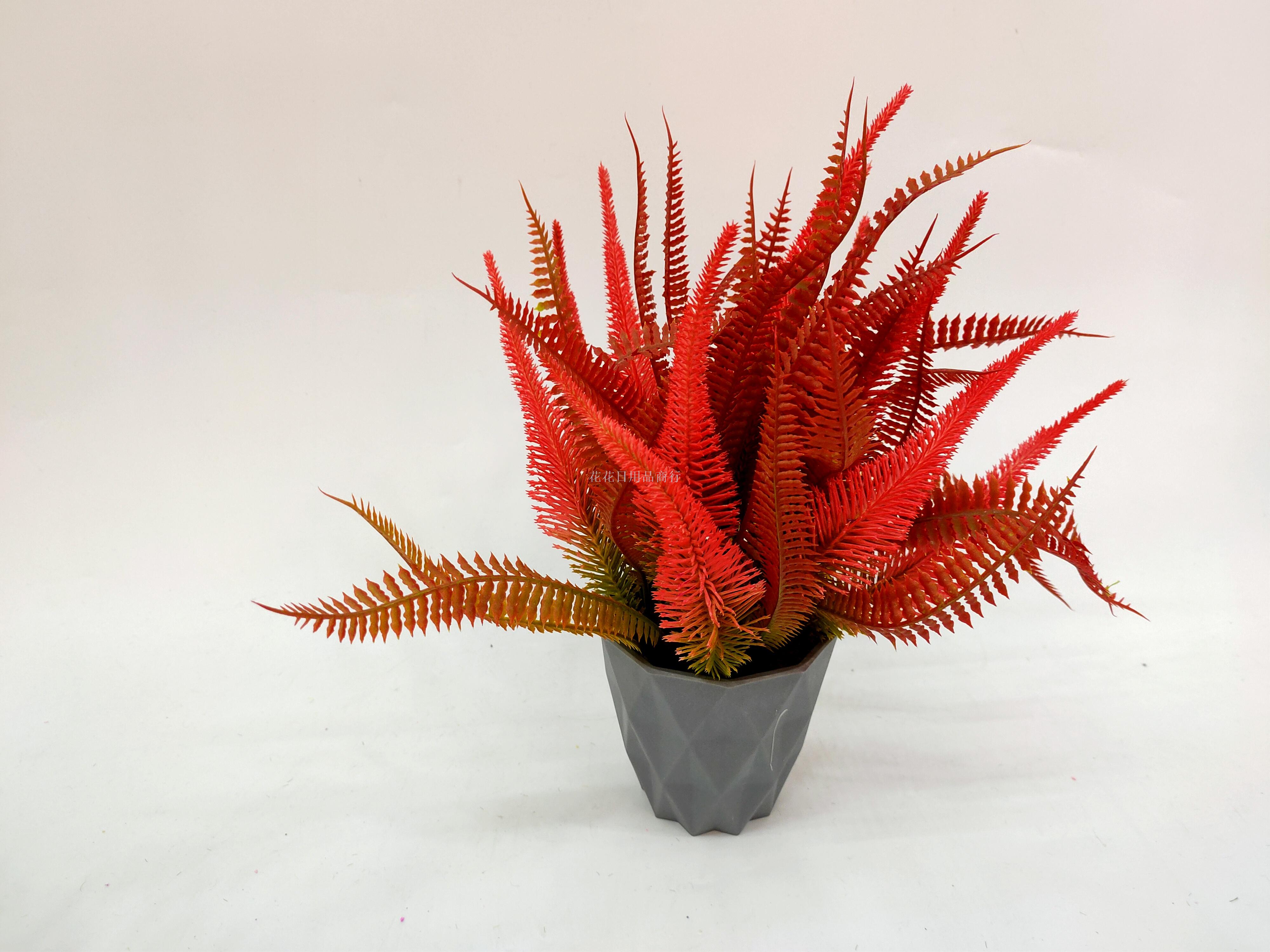 日用百货产品图