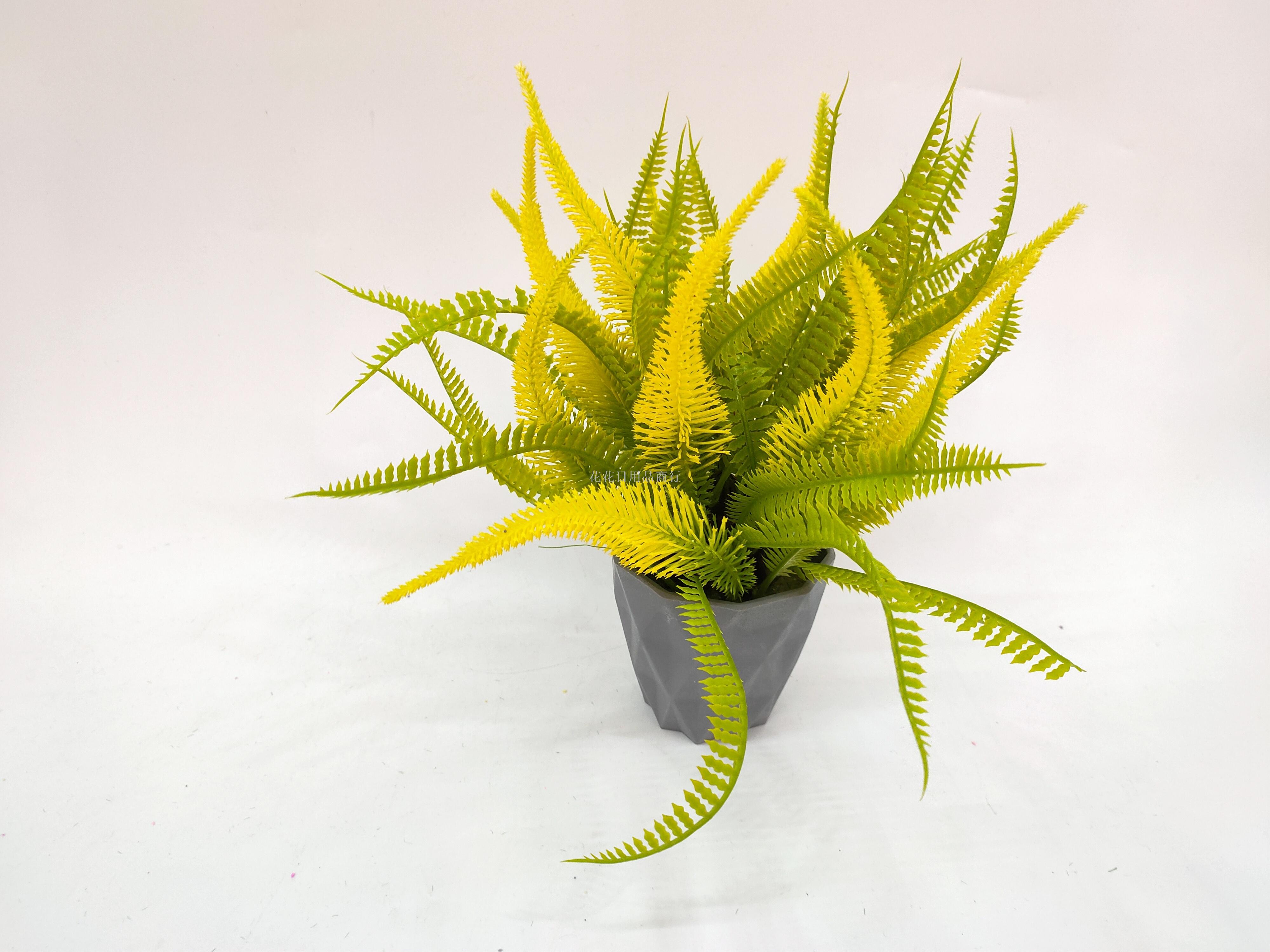 日用百货细节图