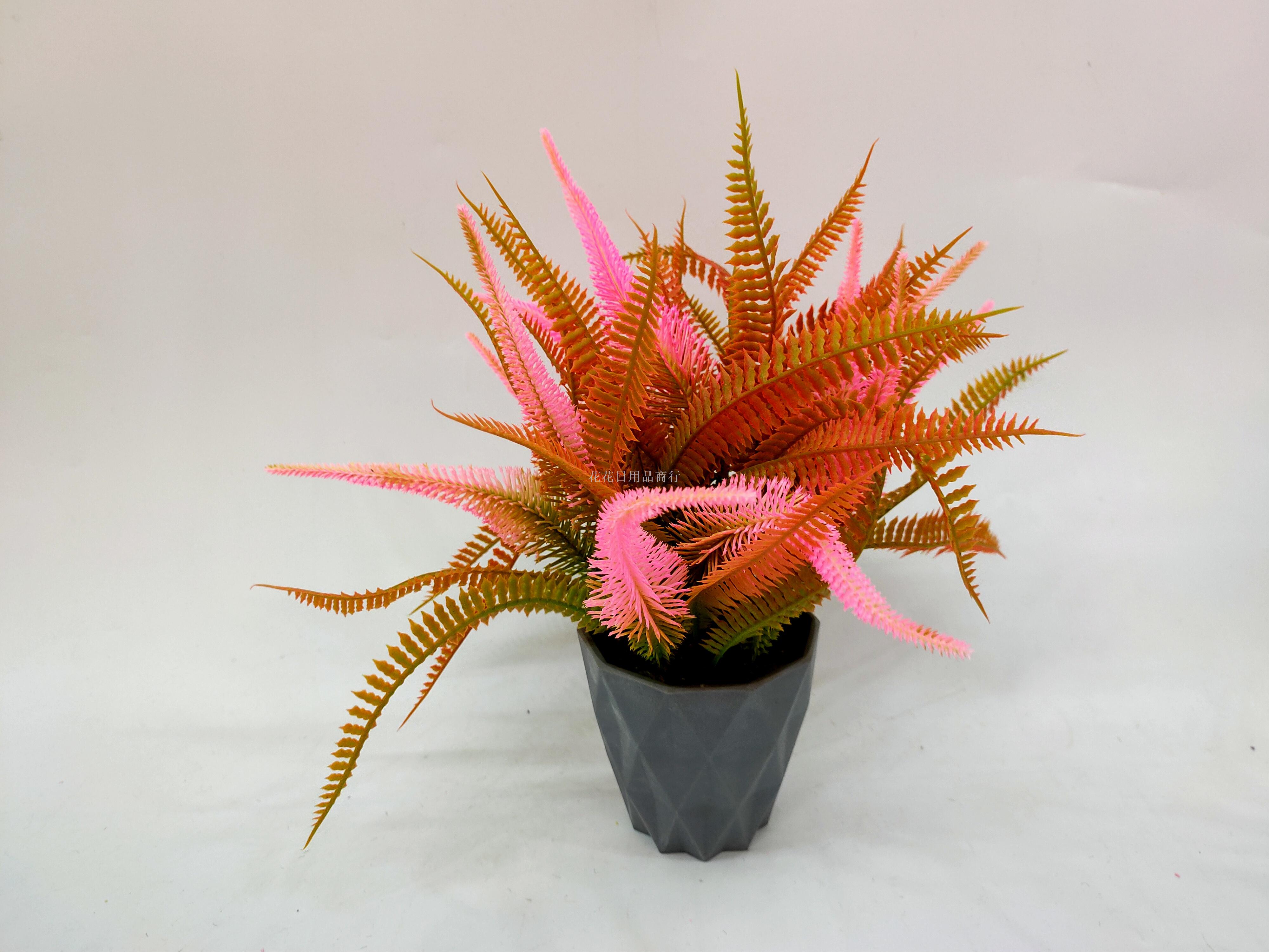 日用百货白底实物图