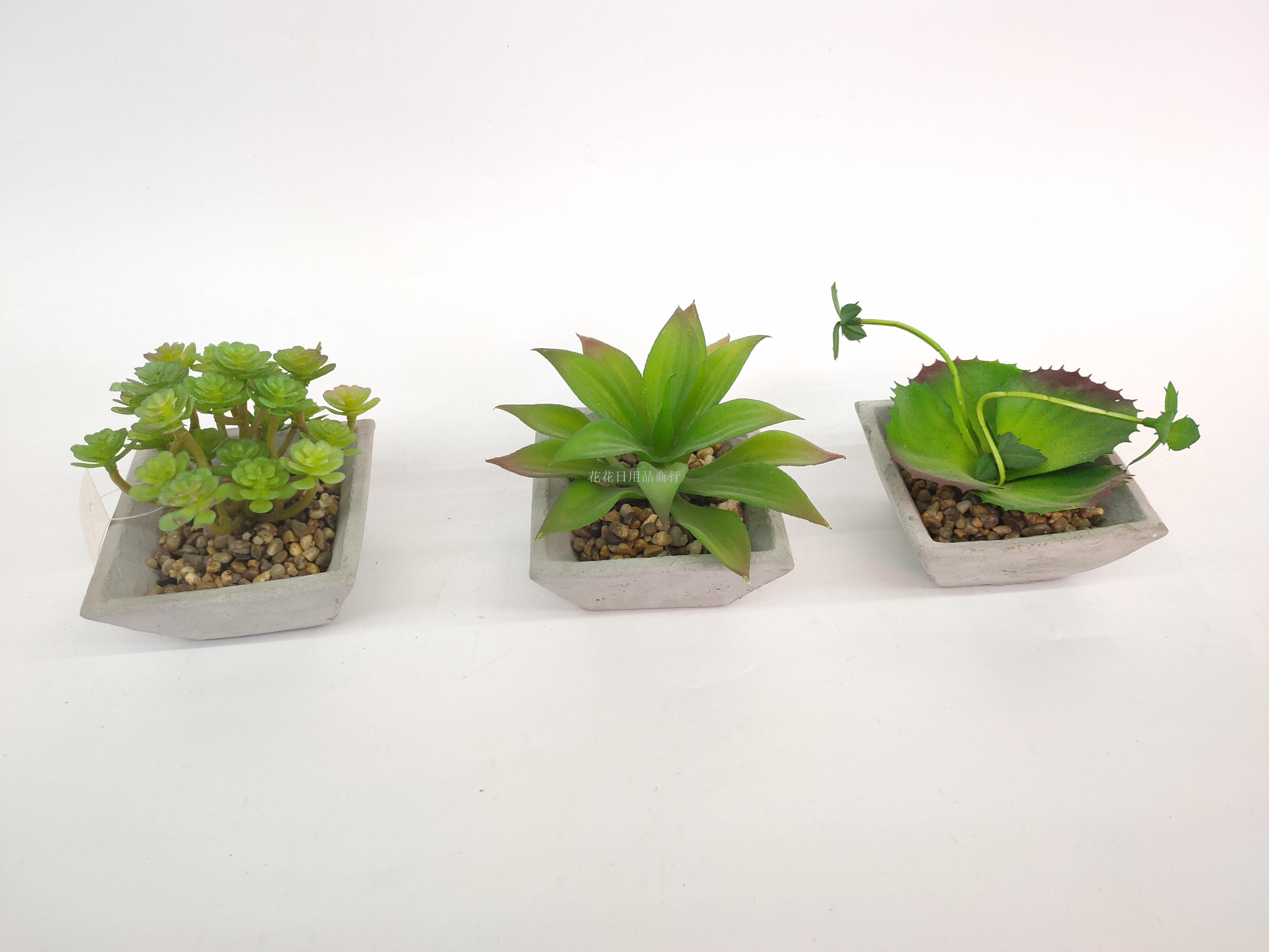 New cement pot succulent simulation plant bonsai flower green value accessories bonsai fake flowers