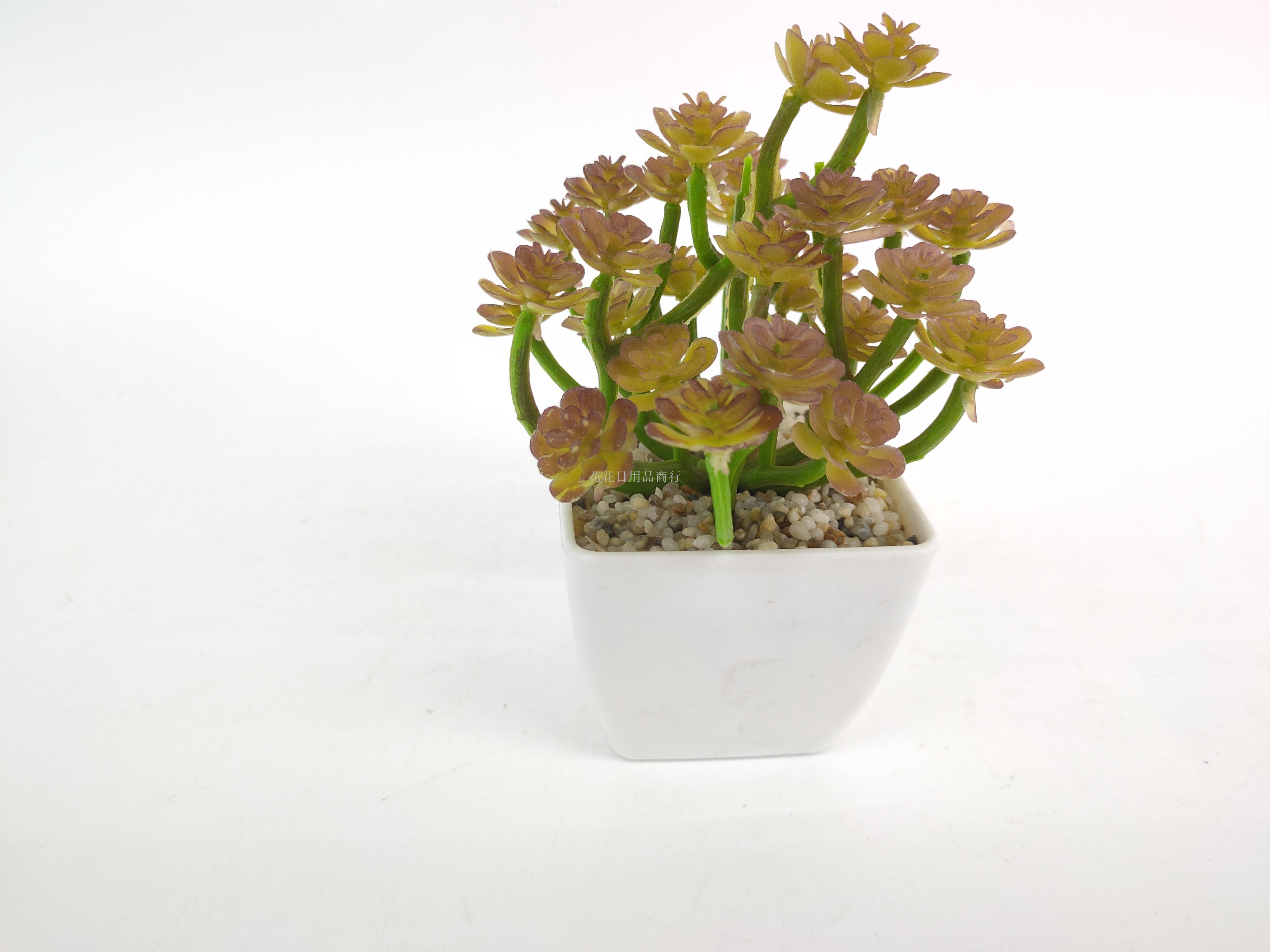 日用百货产品图