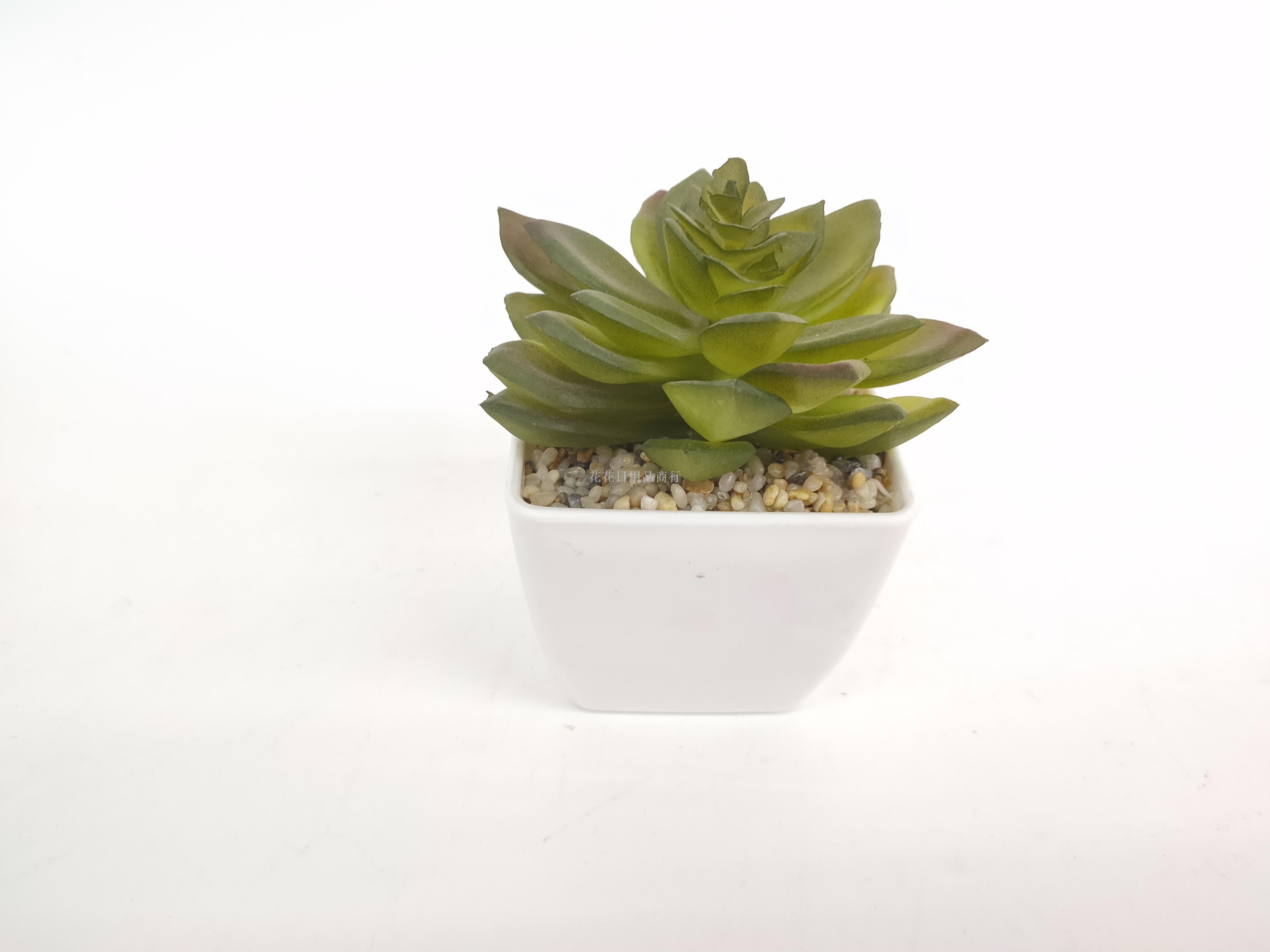 日用百货细节图