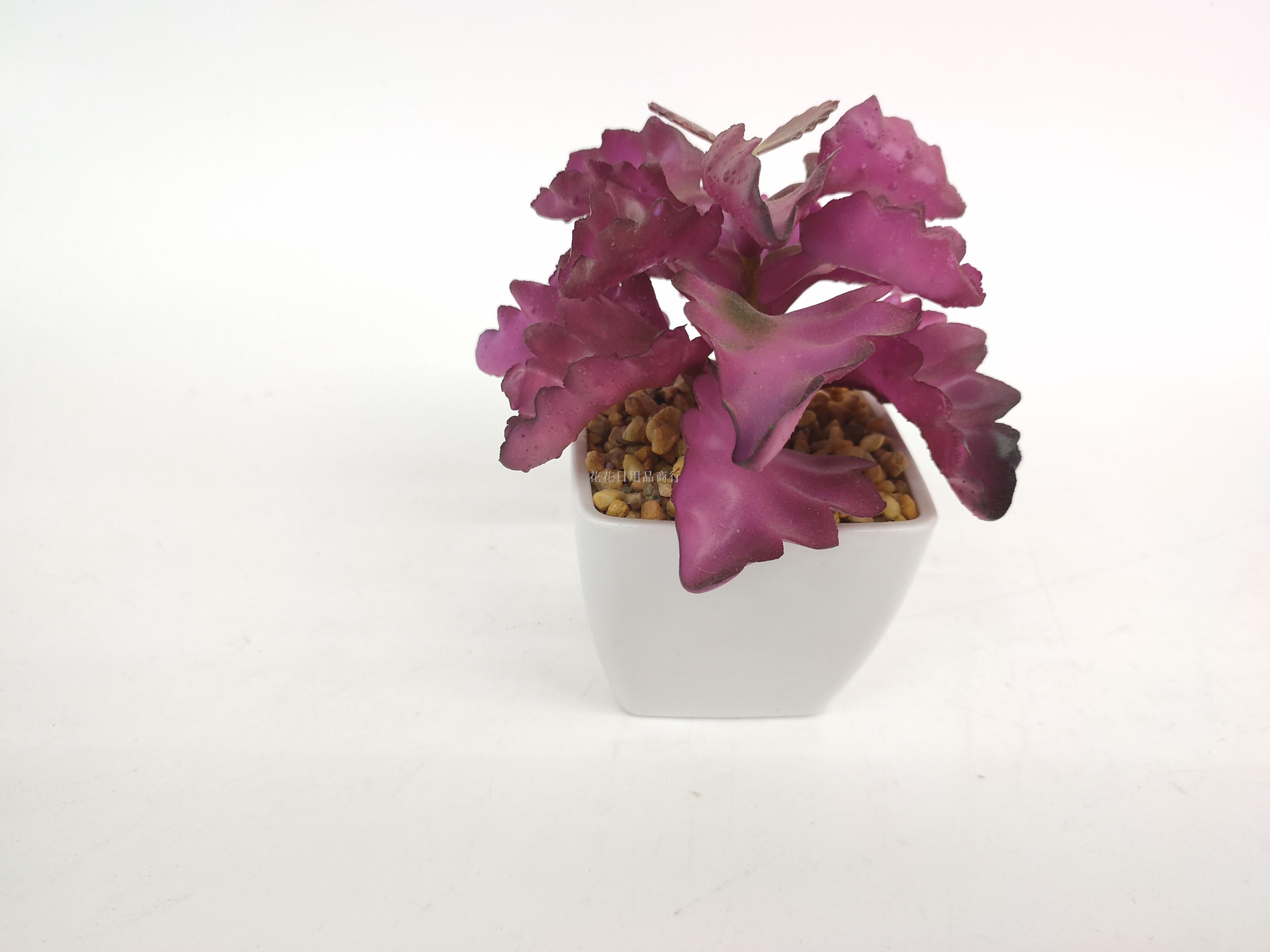 日用百货白底实物图