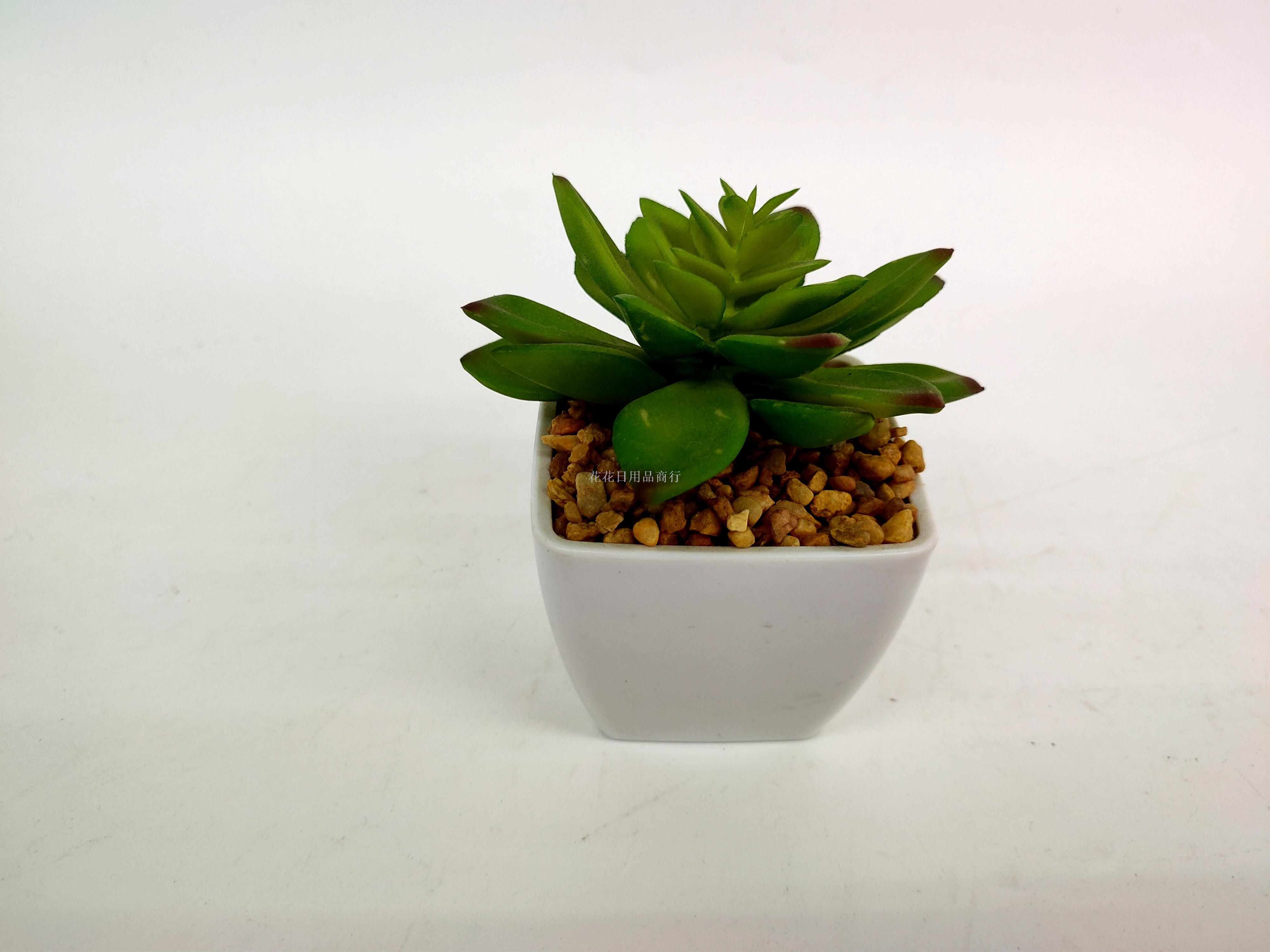 其他仿真工艺品实物图