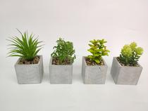 New cement basin simulation plant succulent mixed bonsai PU succulent decorative flowers