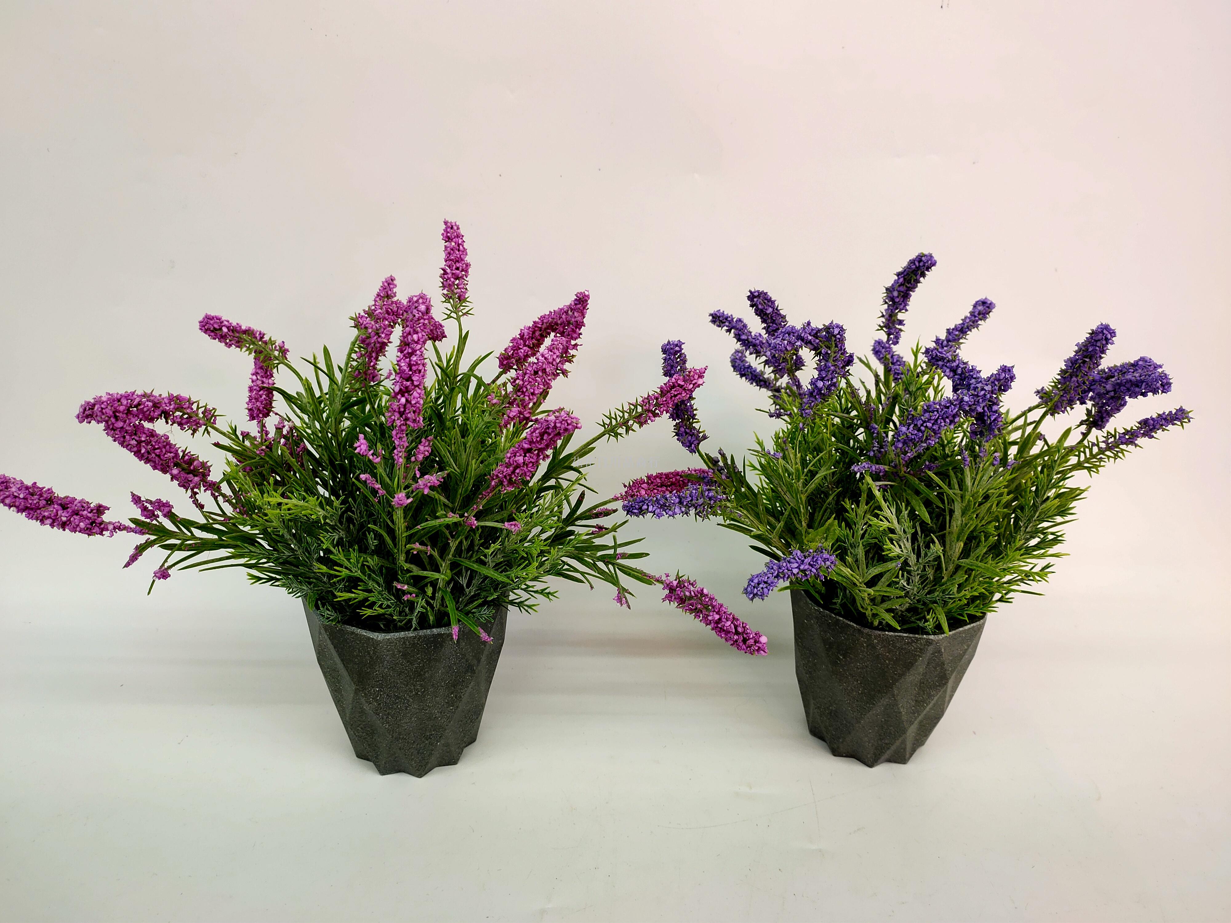 New frosted grey basin lavender bonsai simulation flower garden fake lavender