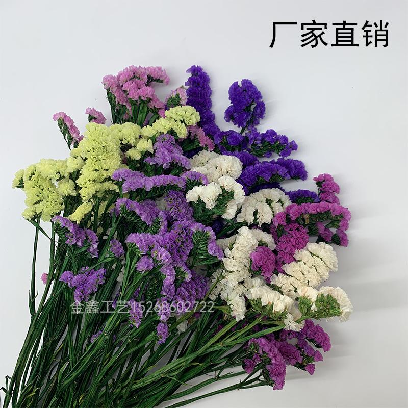 Eternal flower Forget-me-not flower shop flower arrangement materials Girlfriend girlfriends birthday gift Office home decoration flower