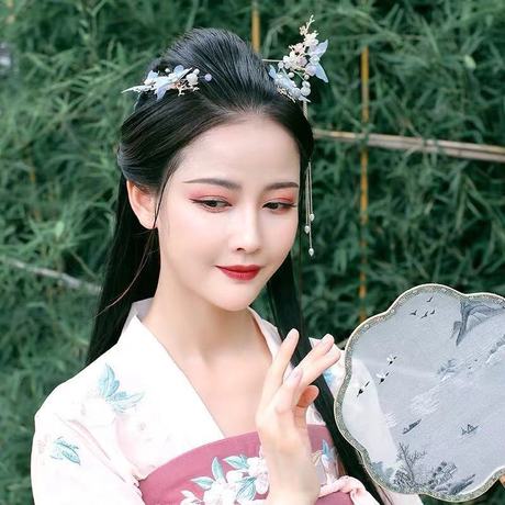 Hanfu headwear, women's ancient costume, tassel, ancient style, super ethereal silk gauze, butterfly hairpins, hair combs, complete set of hair accessories and accessories, national trend series