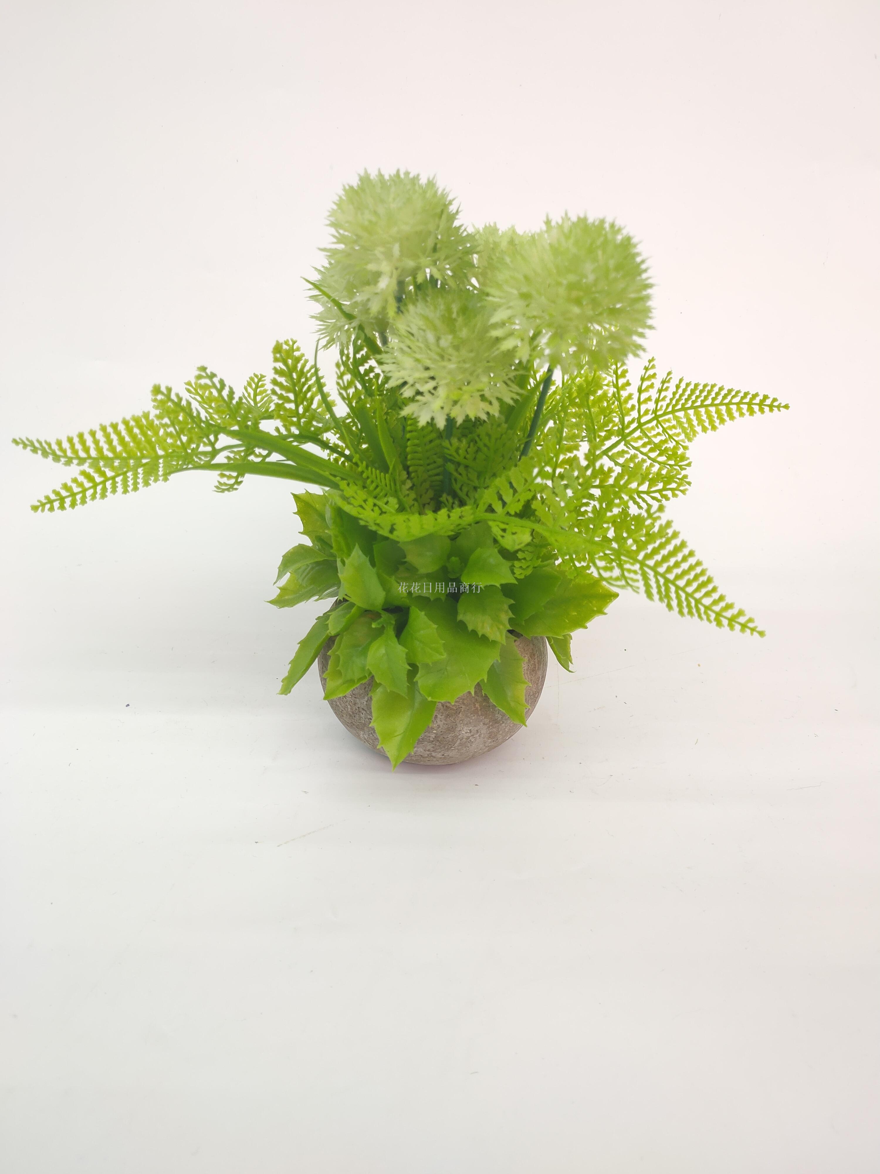 仿真植物实物图