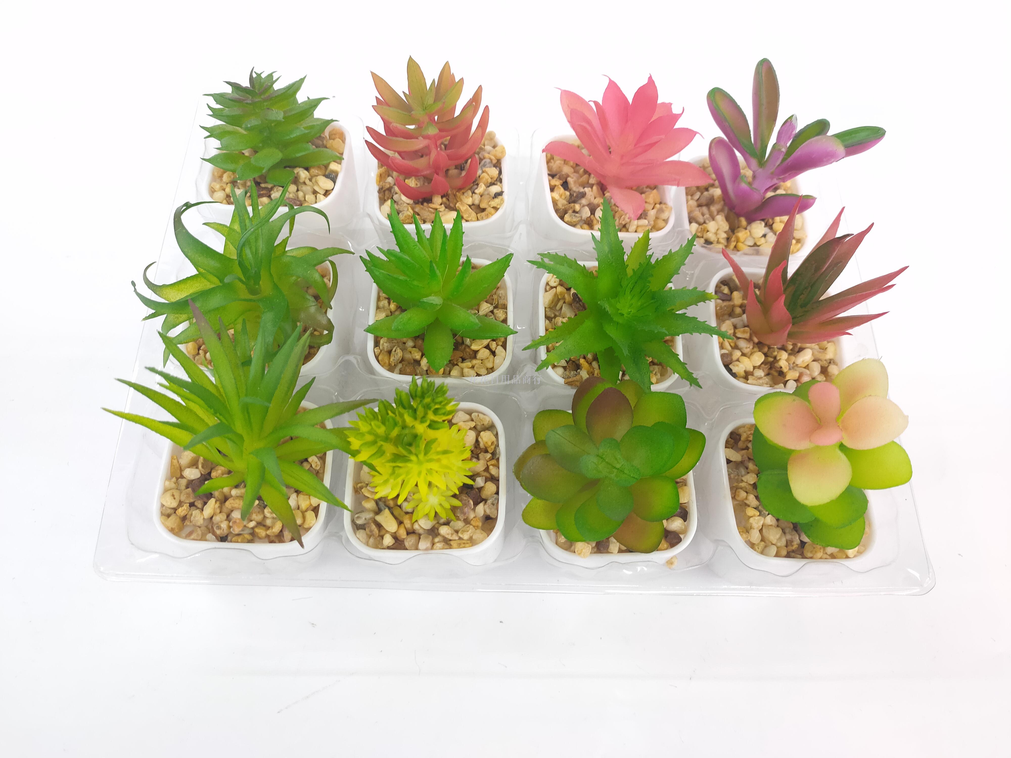 New white pot small succulent simulation plant flowers small bonsai succulent accessories