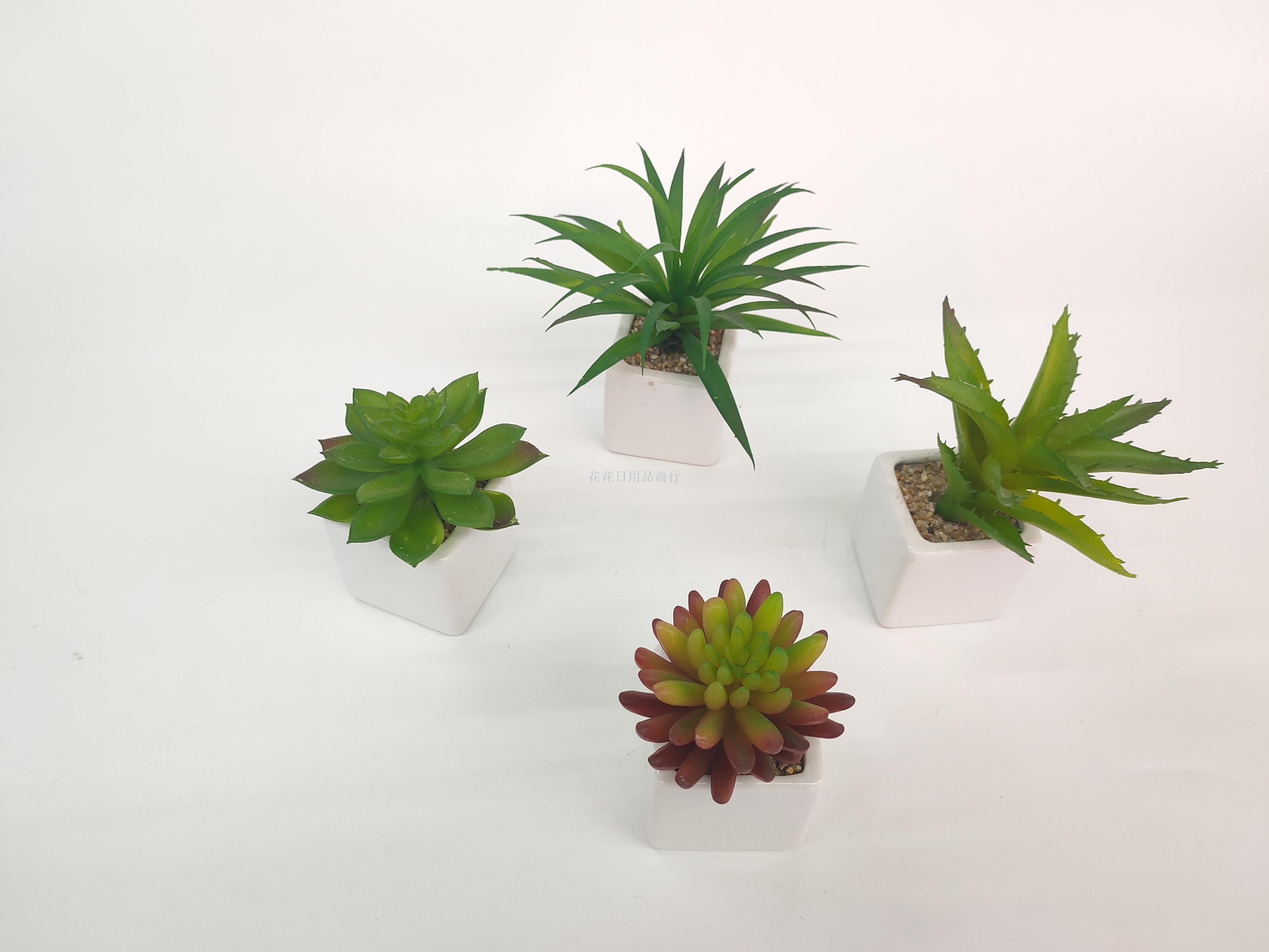 New ceramic pot stone succulent plant simulation PU succulent ornaments simulation flowers
