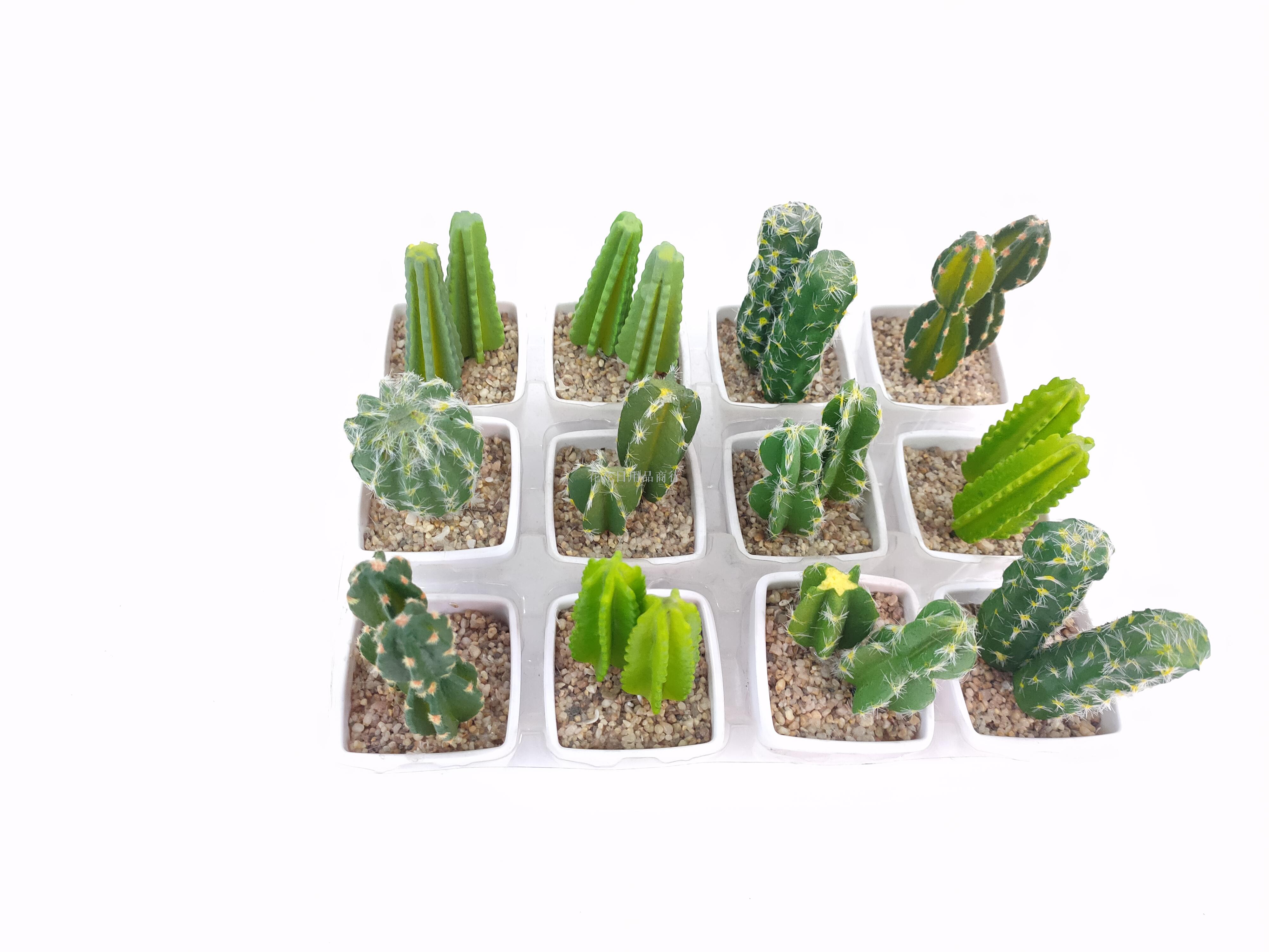 新款仿真仙人掌套装仿真植物盆景摆件花家居装饰品礼物