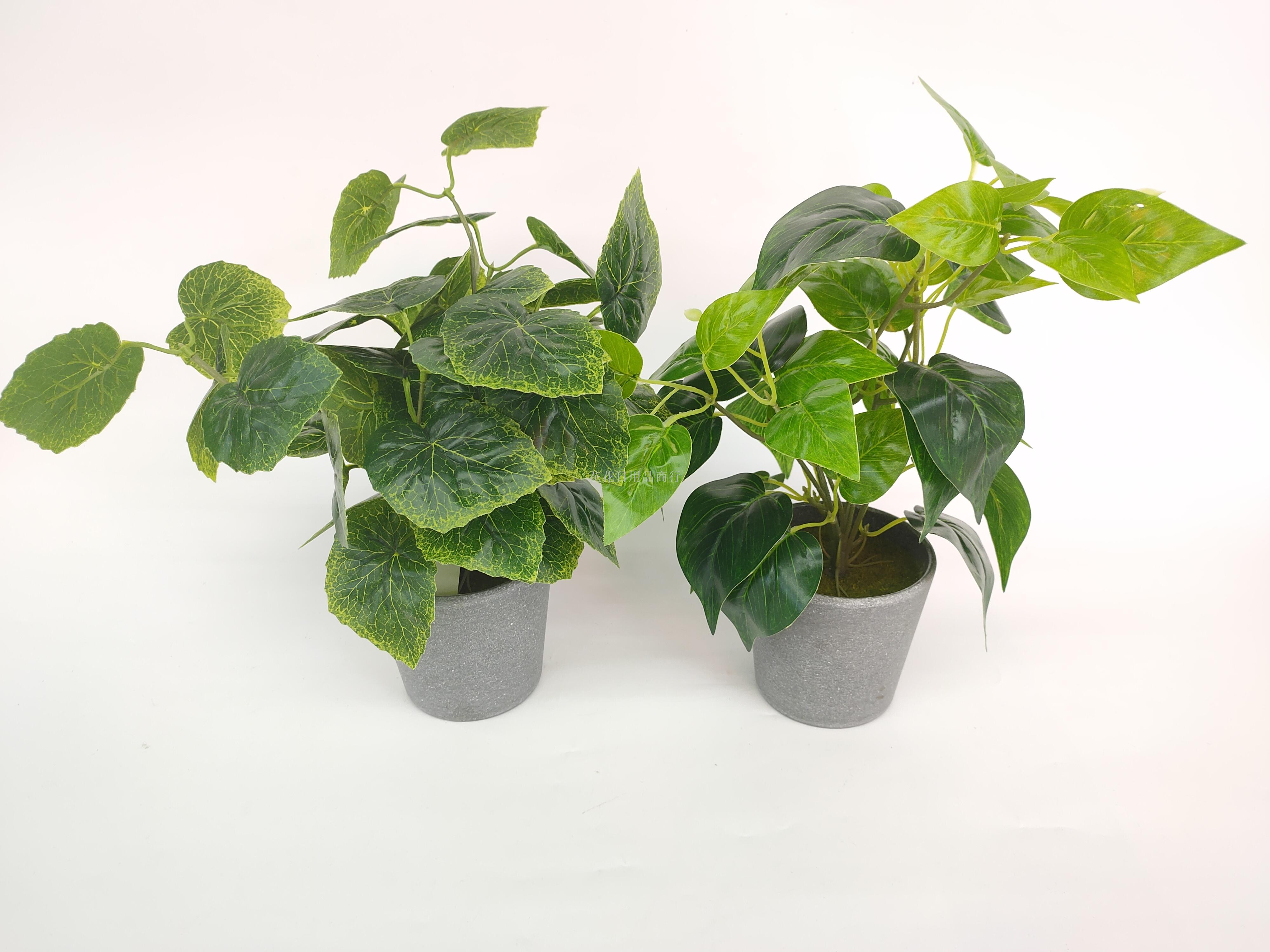 Plastic basin with imitation flowers and fake flowers, grape leaves and green plants decorate the dining table with bonsai