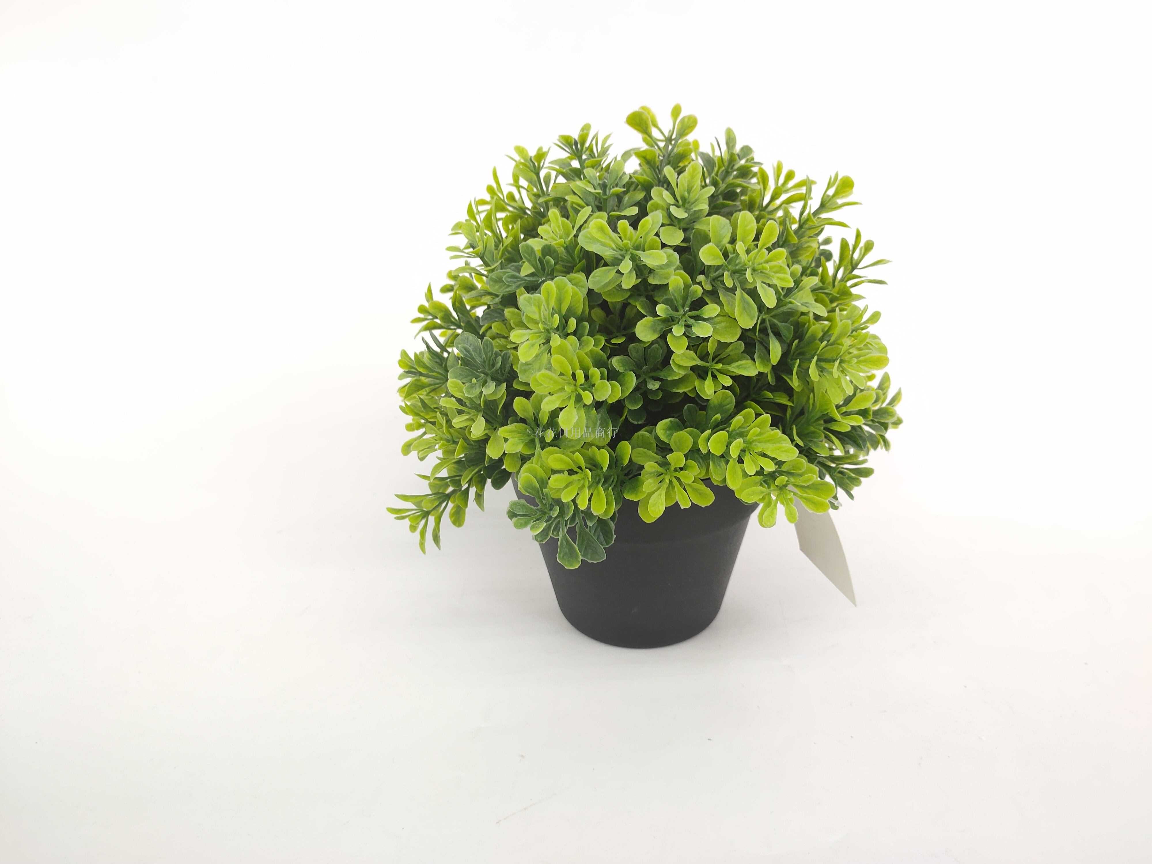 新款黑色盆绿叶仿真花假花盆景仿真植物客厅装饰品摆件